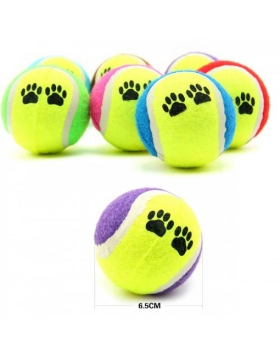 At Getir Köpek Eğitim Topu