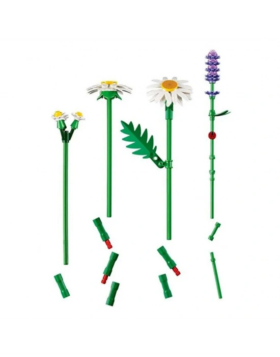 Botanicals Papatyalar 11508