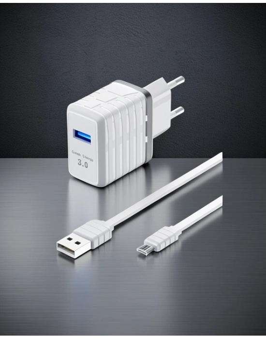 C32Q 3.0 Quick Micro Usb Seyahat Şarj Cihazı