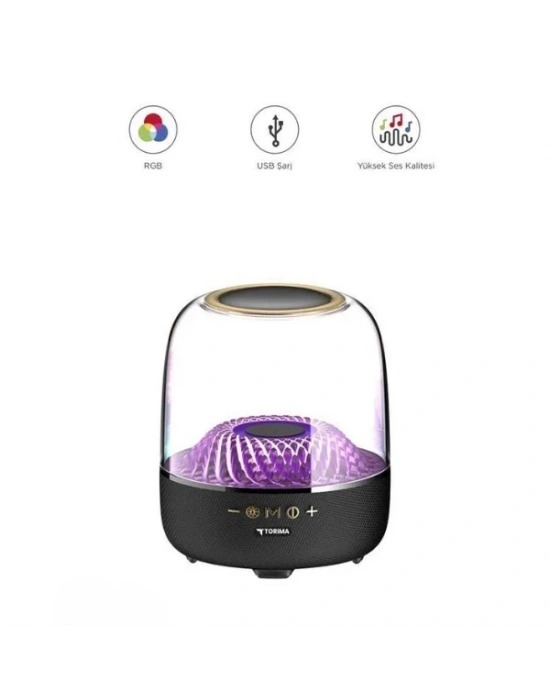 D33 Siyah Taşınabilir Kablosuz Bluetooth Hoparlör