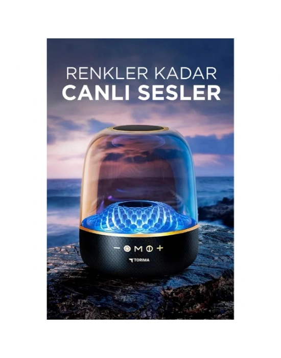 D33 Siyah Taşınabilir Kablosuz Bluetooth Hoparlör