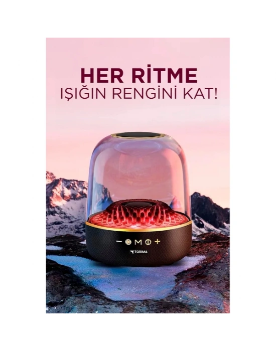 D33 Siyah Taşınabilir Kablosuz Bluetooth Hoparlör
