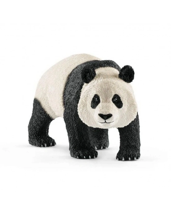 Dev Panda