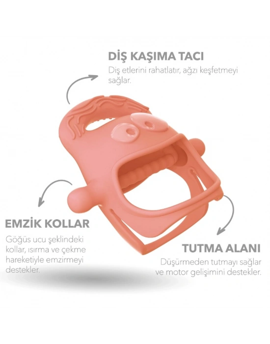 Diş Kaşıyıcı Somon