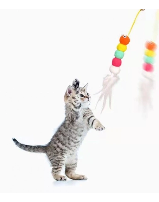 Elastik Yapışkanlı Kedi Oyun Oltası