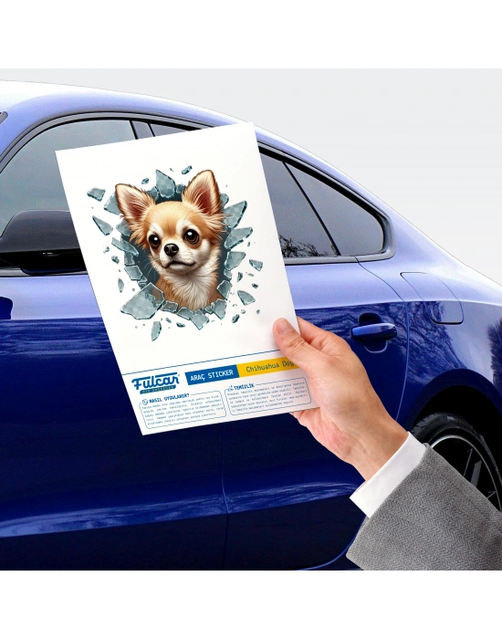 Fulcar Chiuahua Araç Stickerı