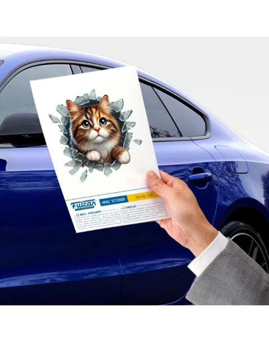Fulcar Kedi Tasarımlı Araç Stickerı