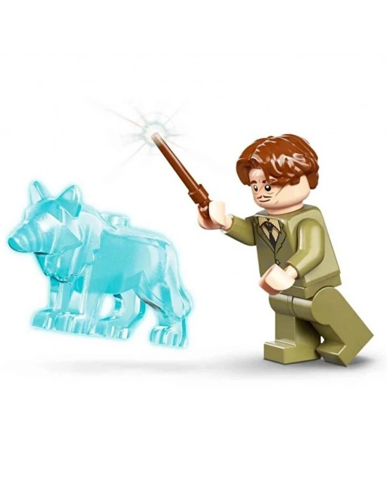Hogwarts Şatosu: Hastane Koğuşu 76463