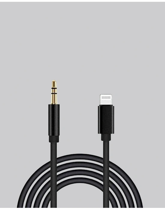 İphone Aux