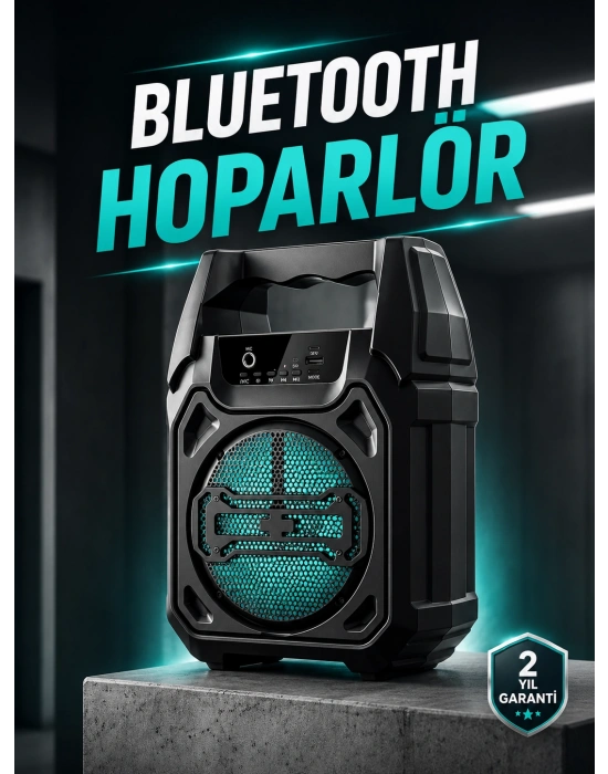 Kablosuz 6.5 İnç TWS Bluetooth Hoparlör