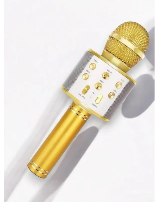 Kareoke Mıkrofon