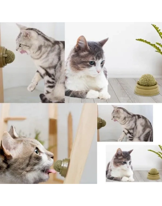 Kedi Nanesi Oyun Topu