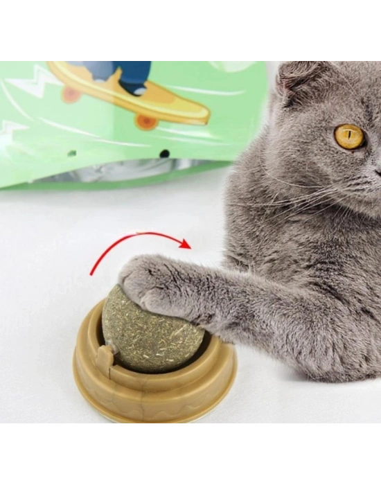 Kedi Otu Oyun Topu