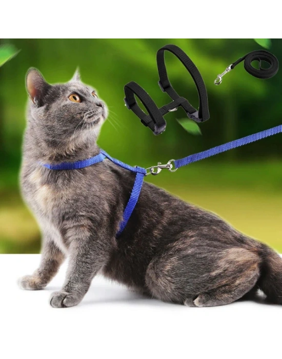 Kedi Tasması