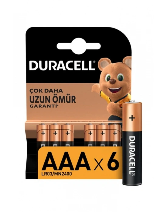 NessiWorld 6Lı AA Kalem Pil