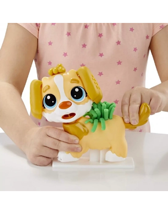 Play-Doh Veteriner Seti F3639