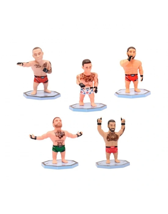 PMI/UFC2009