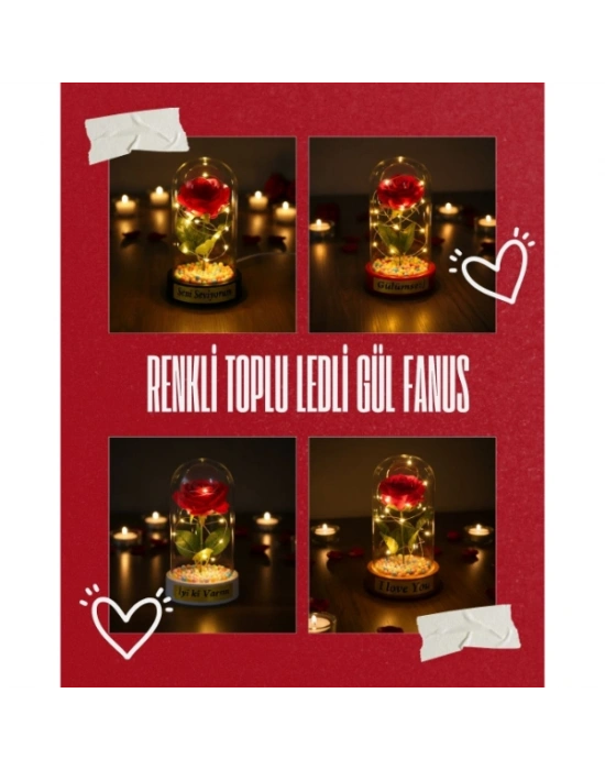 Renkli Toplu Ledli Gül Fanus