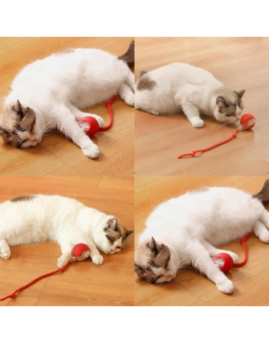 Şarjlı Kedi Oyuncağı