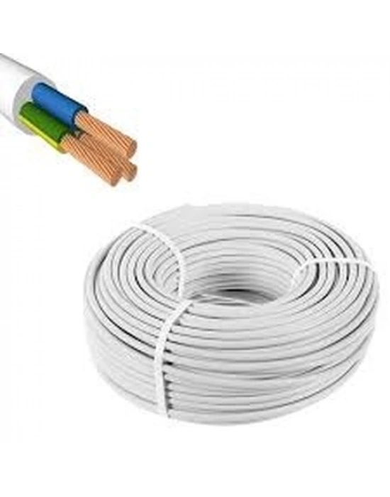 TTR 3x1.5mm KABLO 100MT.ŞAHAN BFA