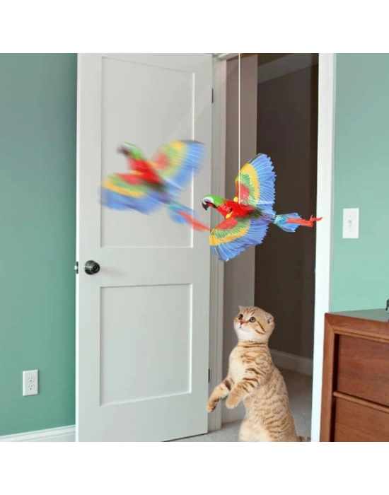 Uçan Papağan Kedi Oyuncağı
