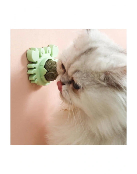 Yengeç Kedi Otu Oyun Topu