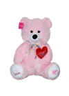 1054P Tıkıl Ayı 70CM Pembe