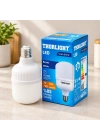 20 W LED Torch Ampul