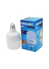 20 W LED Torch Ampul