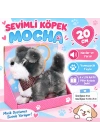 2859 Sevimli Köpek Mocha