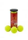 3LÜ Tenis Topu