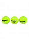 3LÜ Tenis Topu