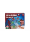 35004 Zoe Jumping Spıder