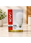 50 W Gold Torch