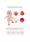 6Lı Basic Penye Soket Çorap 10101 Ekru