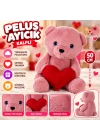 7999 50 Cm Pembe Kalpli Ayı