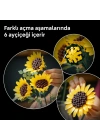 Ayçiçeği Buketi 11502