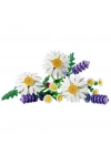 Botanicals Papatyalar 11508