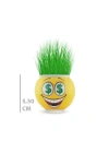 Çim Adam Saksı Emoji Figürlü 1 Adet