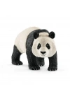 Dev Panda