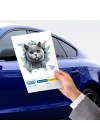Fulcar Kedi Tasarımlı Araç Stickerı