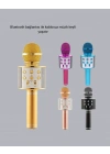 Kablosuz Bluetooth Karaoke Mikrofon Yankı Efektli