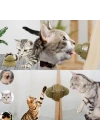 Kedi Nanesi Oyun Topu