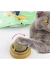 Kedi Nanesi Oyun Topu