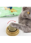 Kedi Otu Oyun Topu
