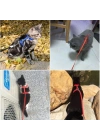 Kedi Tasması