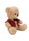 Kıyafetli Peluş Ayı 32 cm