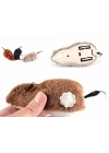 Kurmalı Fare Kedi Eğitim Oyuncağı