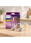 LED Filament Rustik Ampul E27 7W 806 Lumen Cam Gövde