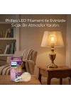 LED Filament Rustik Ampul E27 7W Cam Gövde